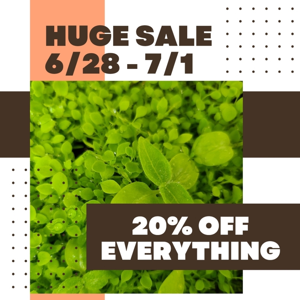 All prices dropped 20%